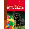 Ideen und Spiele für die Welpenstunde