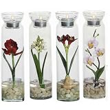 Shopzeus USA zeusd1-CALA-4270657 Candle Assortment 3