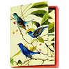 Metropolitan Museum of Art Boxed Note Cards, Audubon Birds (MN211)