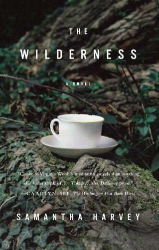 The Wilderness