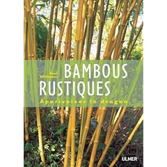 Bambous rustiques : Apprivoiser le dragon