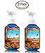 Bath & Body Works Crisp Morning Air, Gentle Foaming Hand Soap (2 Pack)