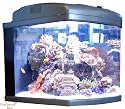 JBJ 28 Gallon Nano Cube HQI Aquarium