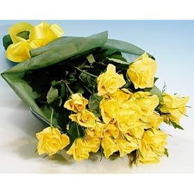 20�΁E����20���N�E�Α�20�N�ȂǁA20�Ɋւ��邨�j���ɁI�@�����������o��20�{�̉ԑ�