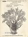 Walbead Bead Flowers & Instructions for Bead Flower Kit No 752 Maguerite Daises