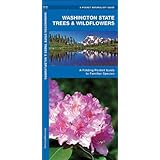washington state trees  wildflowers a folding pocket guide to familiar species pocket naturalist guide series