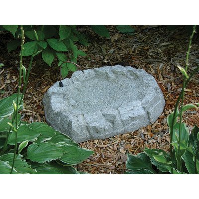 Birds choice rocky mountain ground level bird bath