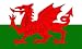 Wales Flag 3 x 5 Brand NEW 3x5 Welsh Dragon Flag