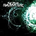 Scar Symmetry-Holographic Universe