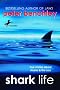 Shark Life: True Stories about Sharks & the Sea