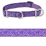 Jelly Roll 3/4 in Combo Collar (10in - 14in)