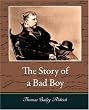The Story of a Bad Boy
