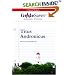 GradeSaver(tm) ClassicNotes Titus Andronicus