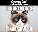 Grumpy Cat 2016 Calendar