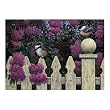 Love Song 550 pc Jigsaw Puzzle by White Mountain Puzzles