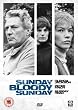 Sunday, Bloody Sunday [DVD]