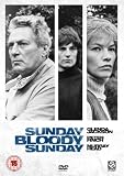 Sunday, Bloody Sunday [DVD] [1971]