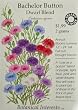 Bachelor Button Dwarf Cerified Organic Seeds 225 Seeds