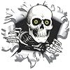 Aufkleber Einschussloch, 90 mm, Motiv: Totenkopf