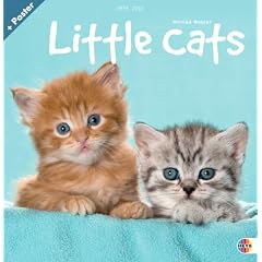 Little Cats Broschurkalender 2012