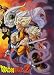 DRAGON BALL Z BAMBOO BLIND DRAGON BALL Z BAMBOO BLIND