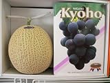 マスクメロン＆巨峰１kgセット☆【お彼岸】【敬老の日】【残暑見舞い】【お土産】【暑中見舞い】【御祝】にどうぞ!!