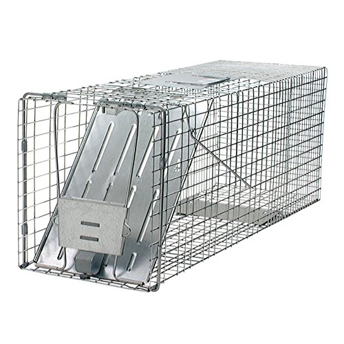 HAVAHART Woodstream 1079 Raccoon Trap