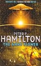 Nano Flower (Greg Mandel)