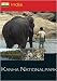 Search : India Kanha National Park