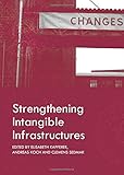 Strengthening intangible infrastructures
