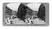 Historic Print (M): Traffic in the busy Graben, Vienna, Austria-Hungary