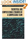 Theoretical and Computational Dynamics of a Compressible Flow