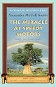 The Miracle at Speedy Motors