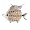 Quality 925 Sterling Silver Tropical Fish Pendant AND Pin with 72 Brilliant Prong-Set CZs, on 18 Inch Chain