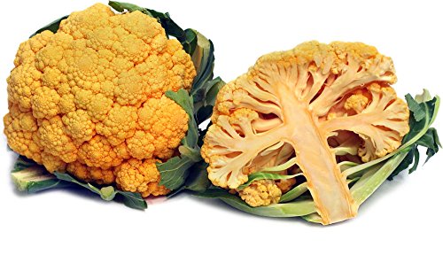 Cheddar Cauliflower 4 Plants - Contain 25 X Beta Carotene of White Varieties Cheddar Cauliflower 4 Plants - Contain 25 X Beta Carotene of White Varieties