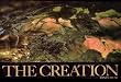 The Creation