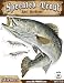 Salty Bones Large Speckled Trout Action Decal - 13.5" x 10.5"