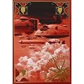 Hauteville House Coffet T01 a T04 Reedition