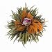 Teaposy Flowering Tea Heart of Love Teaposies