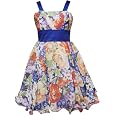 Rare Editions Girls 7-16 Garden Floral Print Dress