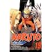 Naruto, Vol. 19: Successor