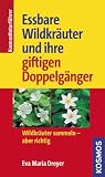 Wildkräuter und ihre giftigen Doppelgänger: Wildkräuter sammeln - aber richtig