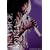 The VOICE 10th anniversary concert [DVD]