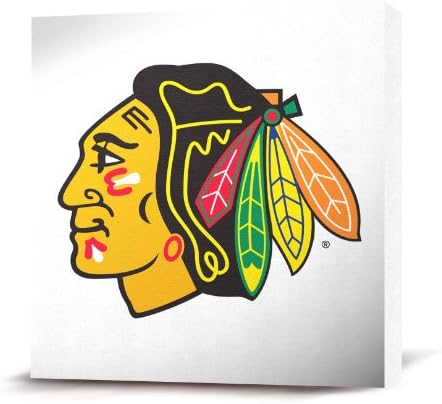 NHL Chicago Blackhawks Canvas Replica Primary Logo, White