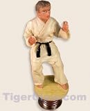 Judo Dashboard Figure