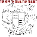 The Hope Six Demolition Project