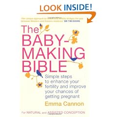 The Baby-Making Bible: Simple steps to enhance your fertility and improve your chances of getting pregnant