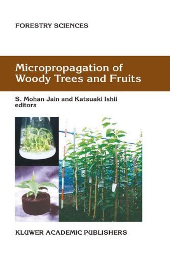 Micropropagation of Woody Trees and Fruits (Forestry Sciences) by Springer (2003-04-30)