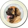 BLONDE LEONBERGER Tax Disc Holder