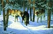 Wolf Trio 550pc Jigsaw Puzzle by Sam Timm